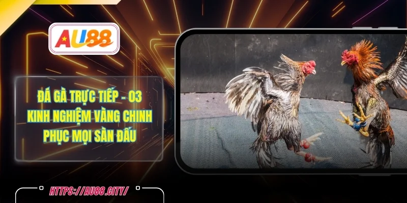 Đá Gà Trực Tiếp